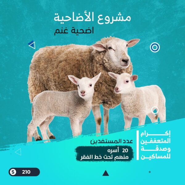 ذبيحة صدقة غنم