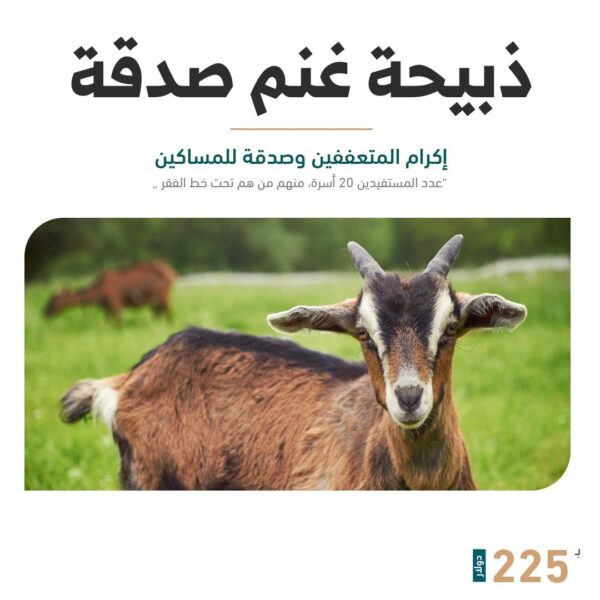 ذبيحة غنم صدقة او عقيقه